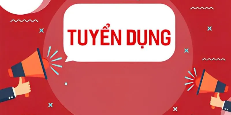 Các vị trí tuyển dụng